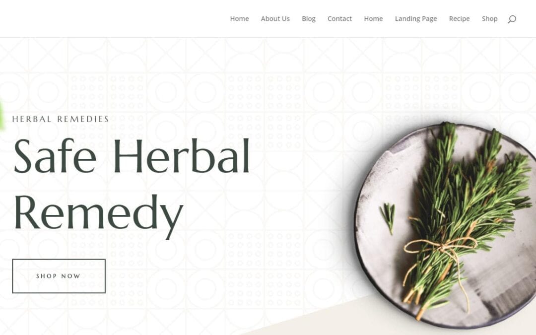 Herbal Remedy Framework